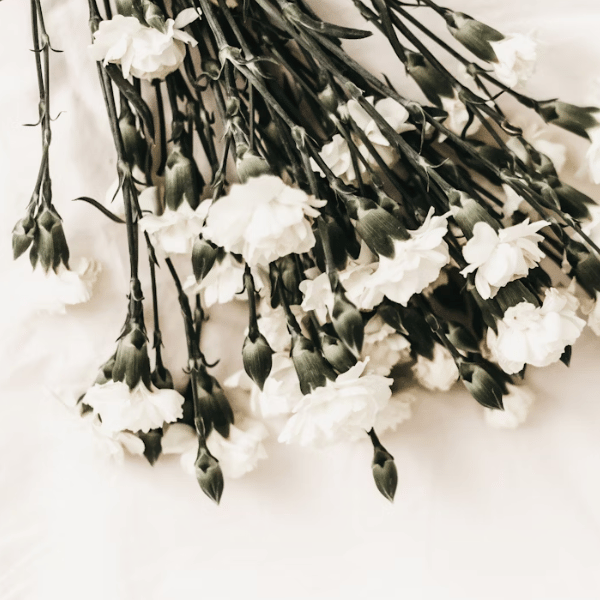 funeral catering